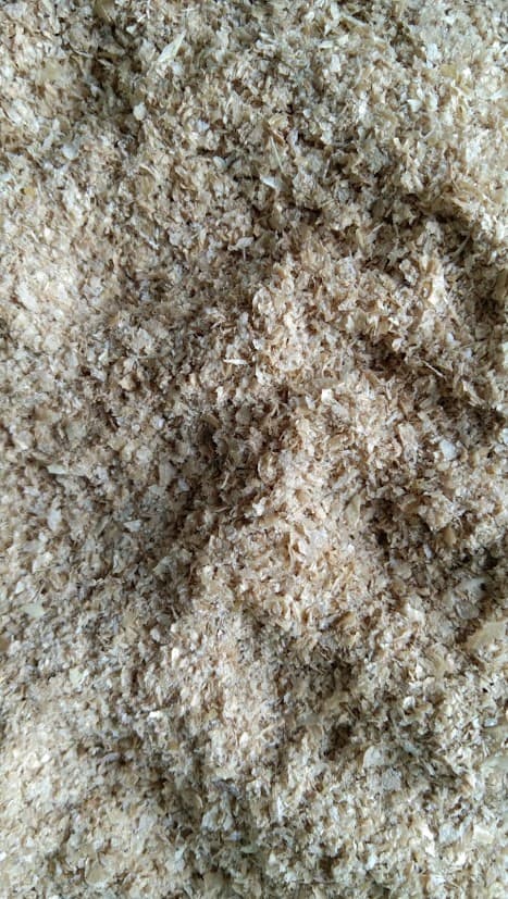 Wheat bran (gehu chokar) sample for cattle feed